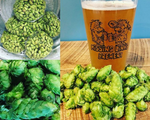 Missing Links Brewery | #PAGetaway